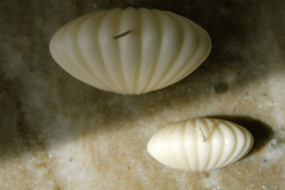 Muschel Set | Dekokerze