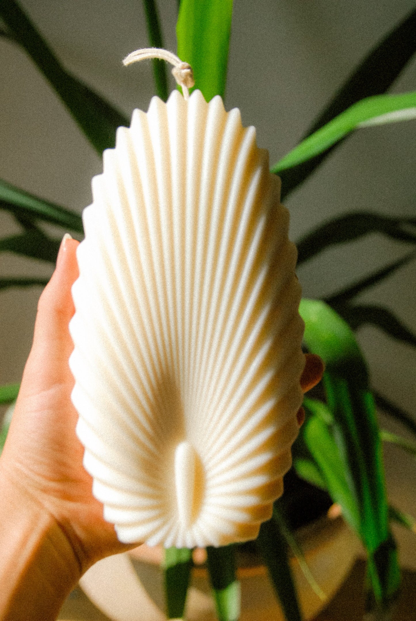 Palmenblatt rund | Dekokerze